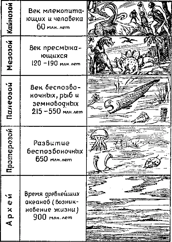 Библия утверждает что все живое на нашей планете создано богом А как он это - фото 1