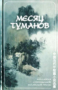 Юй Хуа Месяц туманов обложка книги