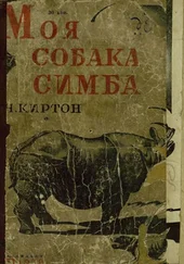 Черри Киртон - Моя собака Симба