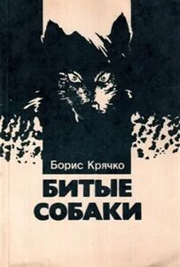 Борис Крячко Битые собаки обложка книги