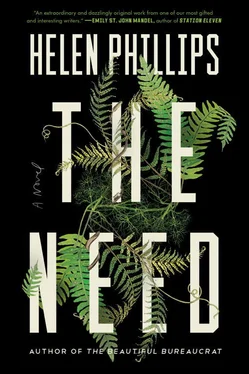 Helen Phillips The Need обложка книги