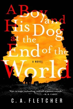 C Fletcher A Boy and His Dog at the End of the World обложка книги