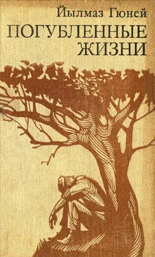 Йылмаз Гюней Погубленные жизни обложка книги