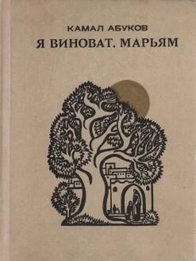 Камал Абуков Балъюртовские летописцы обложка книги