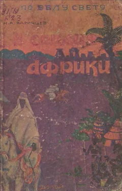 Николай Каринцев В сердце Африки обложка книги