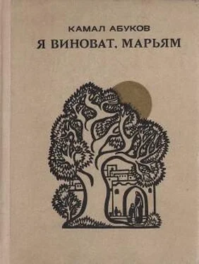 Камал Абуков Еще дымит очаг… обложка книги