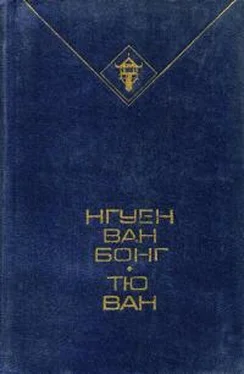 Тю Ван Тайфун обложка книги