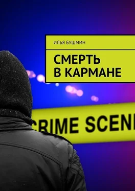 Илья Бушмин Смерть в кармане обложка книги