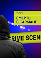 Илья Бушмин - Смерть в кармане