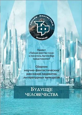 Артем Гаямов Снежинки обложка книги