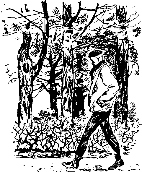 Боец шел и думал Как добиться встречи с этим знаменитым ученым Конечно он - фото 7