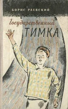 Борис Раевский Государственный Тимка обложка книги
