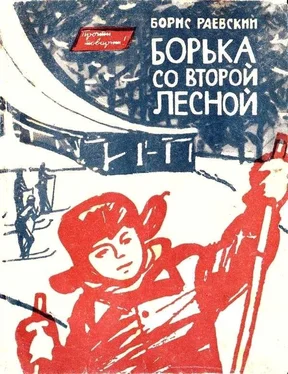 Борис Раевский Борька со Второй Лесной обложка книги