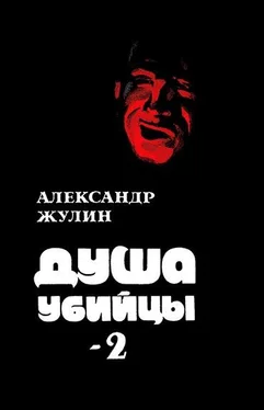 Александр Жулин Душа убийцы — 2 обложка книги