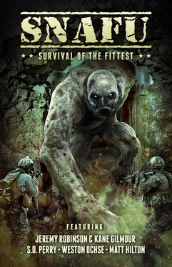 Стефани Перри SNAFU: Survival of the Fittest обложка книги