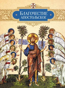 Коллектив авторов Религия Благочестие апостольское: О благочестии и жизни христианской по «Постановлениям святых апостолов»