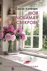 Салли Хэпворс - Моя любимая свекровь [litres]