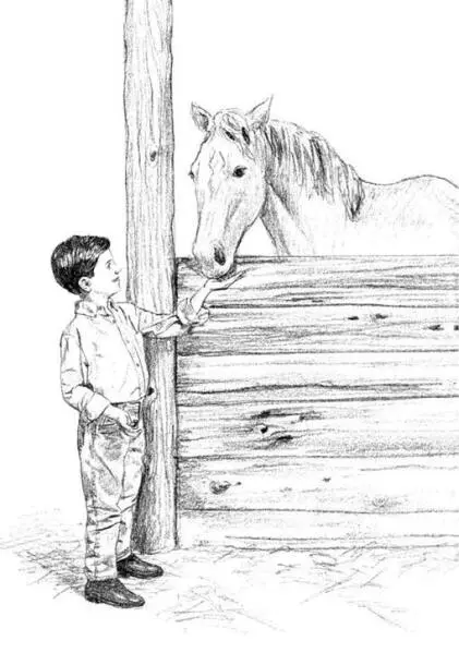Benny scampered ahead of the others He had a strong feeling there was - фото 8