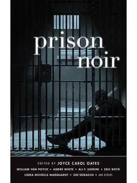 Джойс Оутс Prison Noir обложка книги