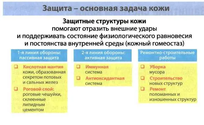 Для этого прежде всего необходима оболочка которая бы играла роль границы - фото 19