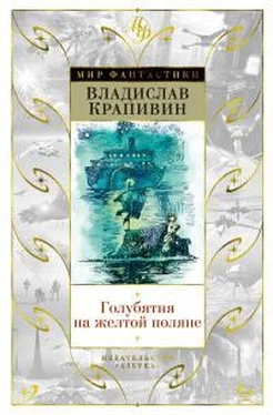 Владислав Крапивин Голубятня на желтой поляне [сборник] обложка книги