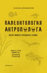 Станислав Дробышевский - Палеонтология антрополога. Книга 1. Докембрий и палеозой [litres]