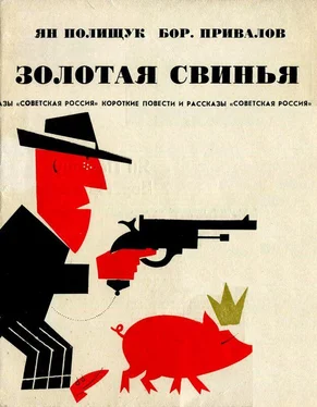 Ян Полищук Золотая свинья [Памфлеты и рассказы] обложка книги