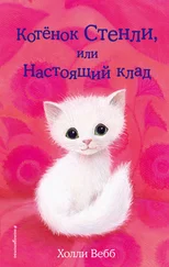 Холли Вебб - Котёнок Стенли, или Настоящий клад