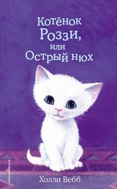 Холли Вебб Котёнок Роззи, или Острый нюх обложка книги