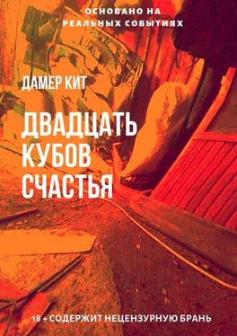 Дамер Кит Двадцать кубов счастья обложка книги