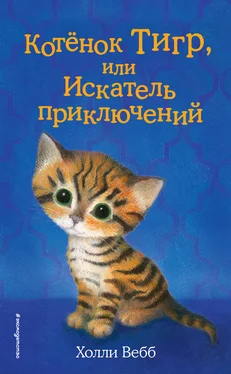 Холли Вебб Котёнок Тигр, или Искатель приключений обложка книги