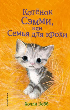 Холли Вебб Котенок Сэмми, или Семья для крохи обложка книги