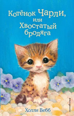 Холли Вебб Котёнок Чарли, или Хвостатый бродяга обложка книги