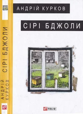 Андрей Курков Сірі бджоли обложка книги