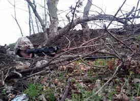 Снайпер як на мене саме жіноча професія Але в нас була талановита дівчина - фото 15