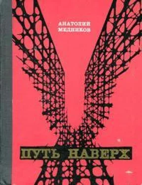 Анатолий Медников Путь наверх обложка книги