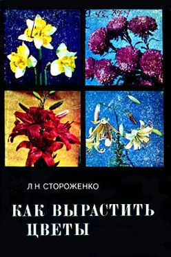 Людмила Стороженко Как вырастить цветы обложка книги