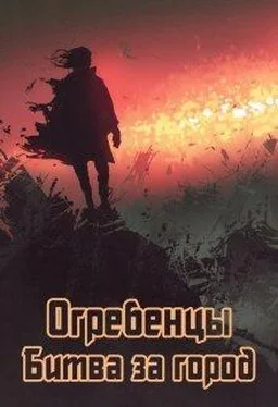 Денис Петриков Битва за город [СИ] обложка книги