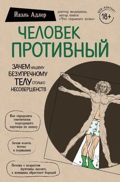 Йаэль Адлер Человек Противный [Зачем нашему безупречному телу столько несовершенств] обложка книги