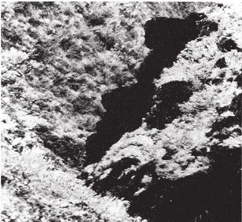 Рис 11 Чистая случайность Очертания скалы на Гавайских островах напоминают - фото 2