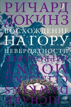 Ричард Докинз Восхождение на гору Невероятности обложка книги