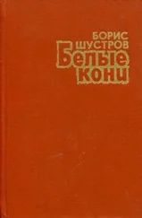 Борис Шустров - Белые кони