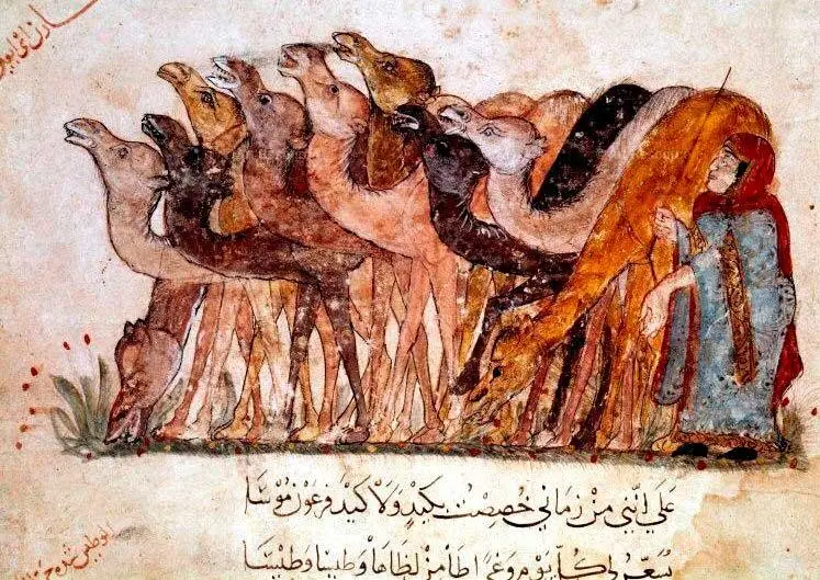 Караван верблюдов Миниатюра из рукописи Макамы АльХарири Яхъя Ибн Махмуда - фото 45