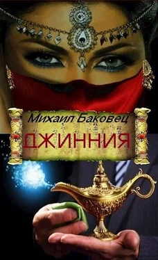 Михаил Баковец Джинния [СИ] обложка книги