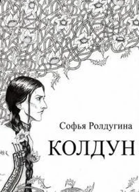 Софья Ролдугина Колдун (СИ) обложка книги