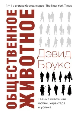 Дэвид Брукс Общественное животное. Тайные источники любви, характера и успеха обложка книги