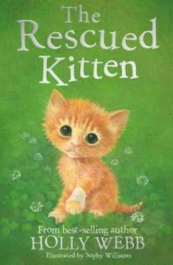 Холли Вебб The Rescued Kitten обложка книги