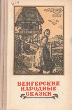 Народные сказки Венгерские народные сказки обложка книги