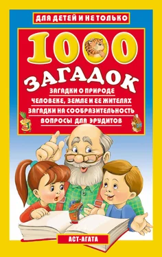 Владимир Лысаков 1000 загадок обложка книги