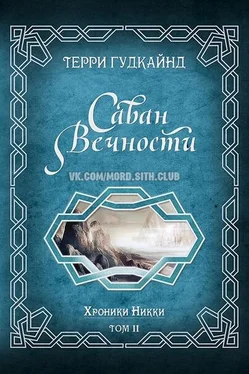 Терри Гудкайнд Саван Вечности [Shroud of Eternity] [ЛП] обложка книги